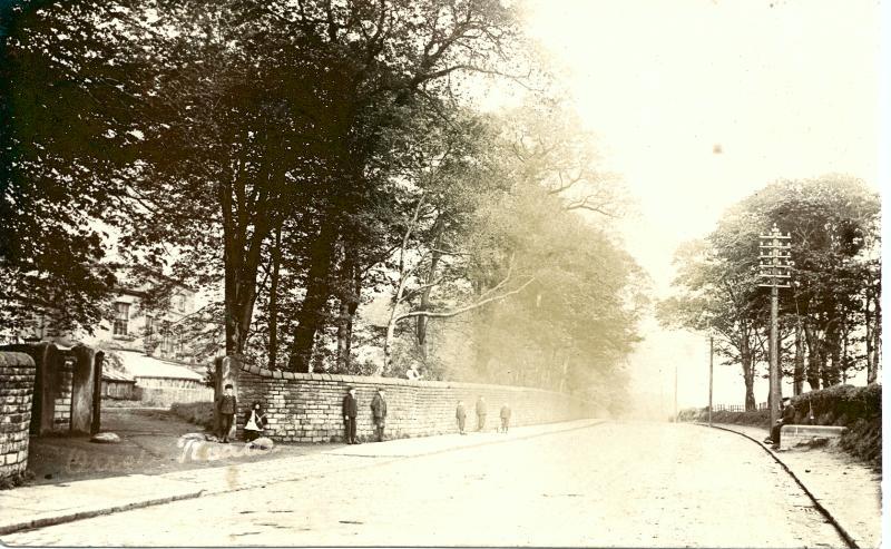 Orrell Road. 1904. Orrell Road. 1904.