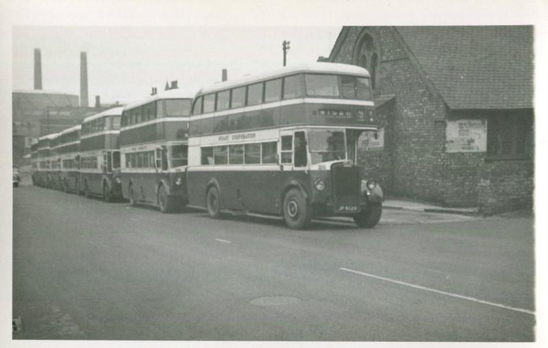 Buses Buses