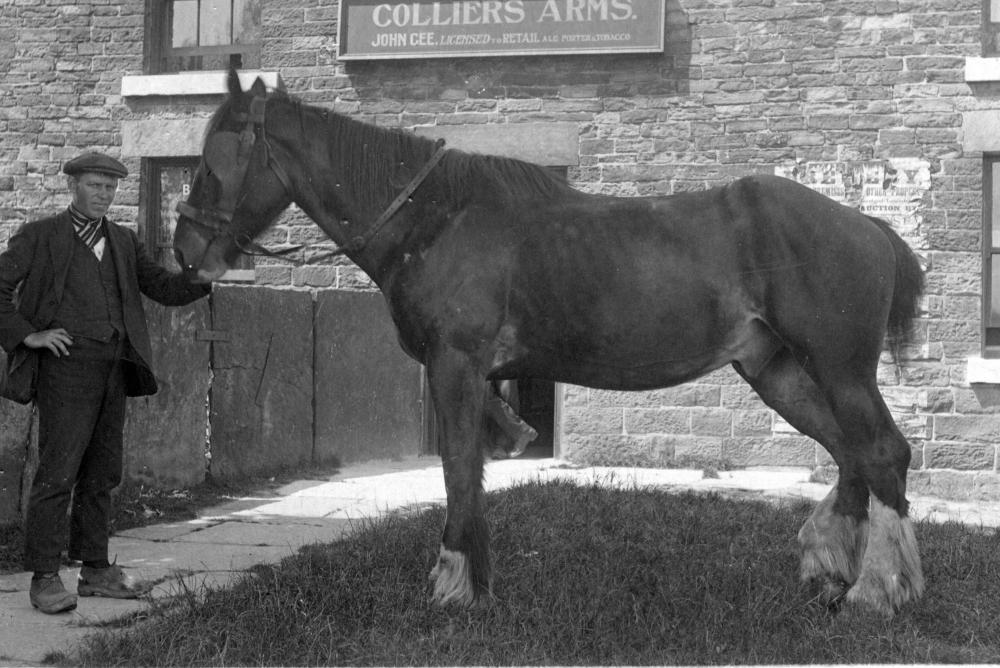 "CAPTAIN" " COLLIERS ARMS. GREENSLATE ROAD, ORRELL "CAPTAIN" " COLLIERS ARMS. GREENSLATE ROAD, ORRELL