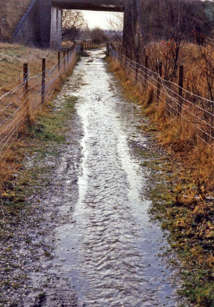 Cycle Path