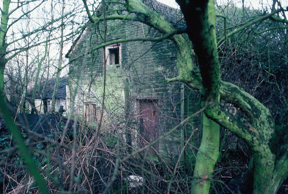 Hall Lane Cottages, Winstanley Estate