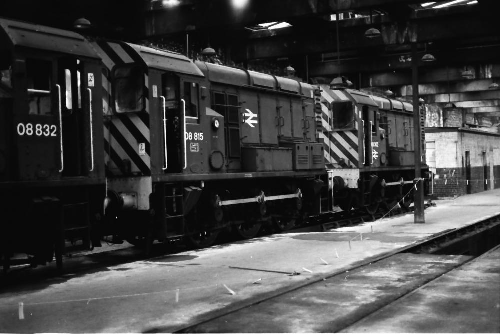 Springs Branch 1978 Springs Branch 1978