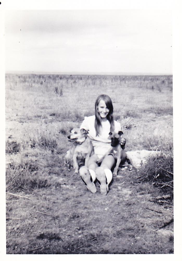 Golf Links  - off Bryn Road appprox. 1970