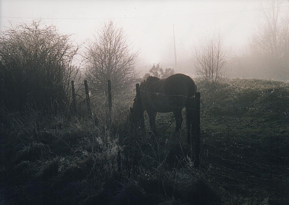 Bleak mid-winter.