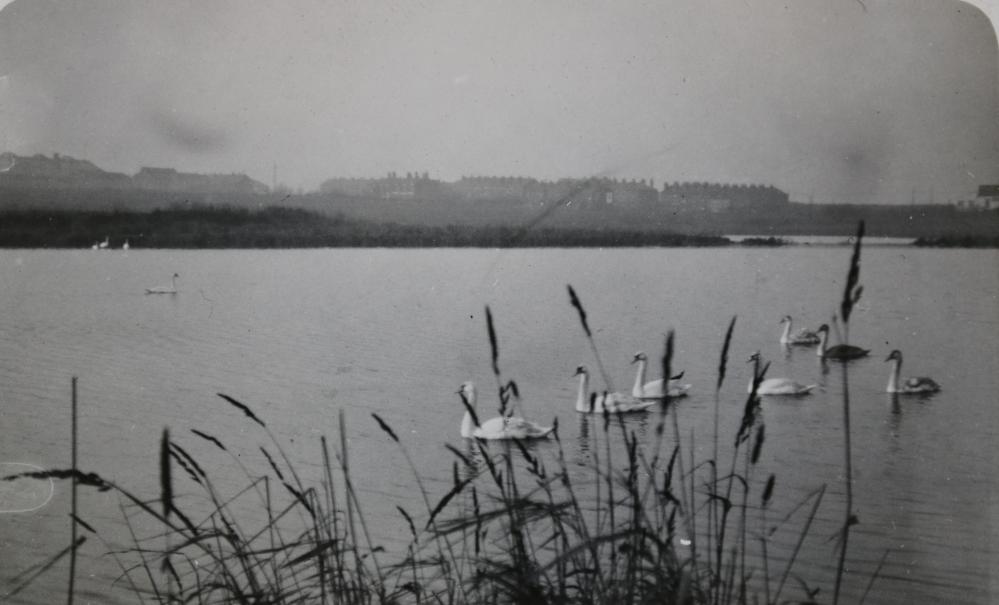 Sammy's Flood, 1954 Sammy's Flood, 1954