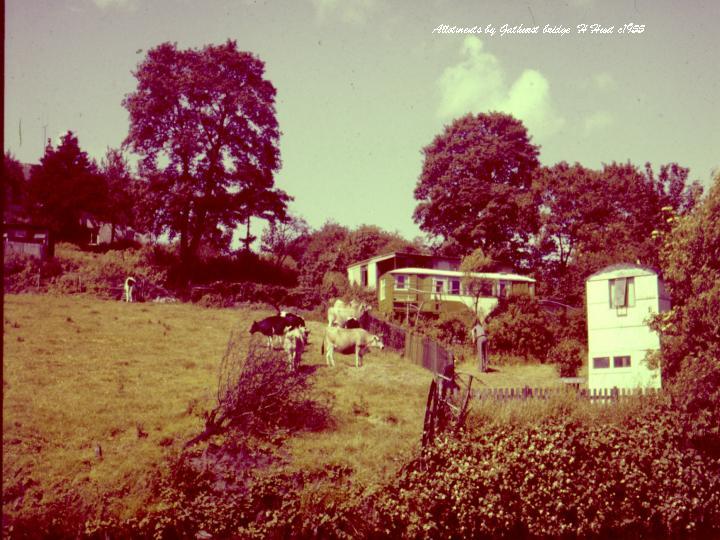 Allotments by Gathurst Bridge