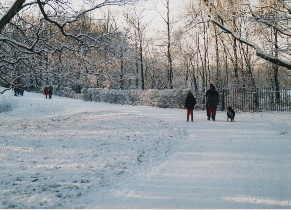 Winter Wonderland