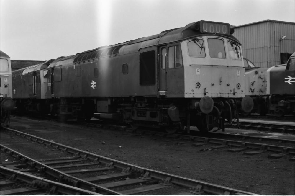 Springs Branch 1978 Springs Branch 1978