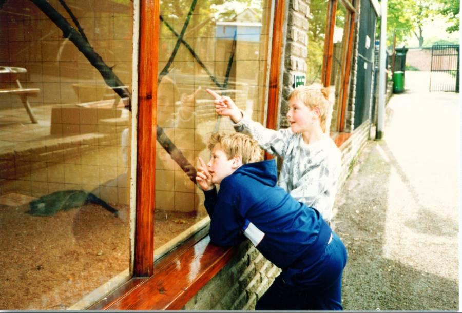 Haigh Hall Zoo, early 80s Haigh Hall Zoo, early 80s
