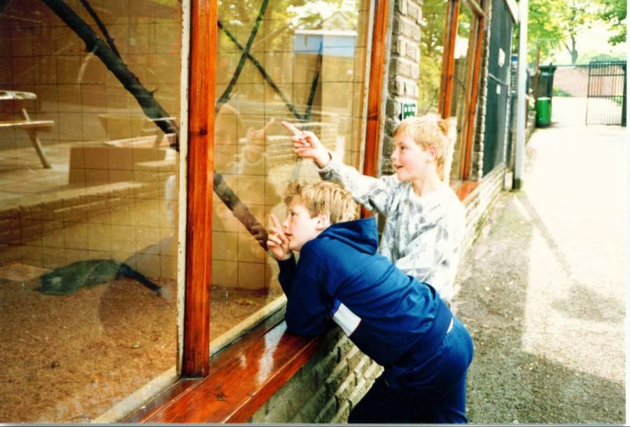 Haigh Hall Zoo, early 80s