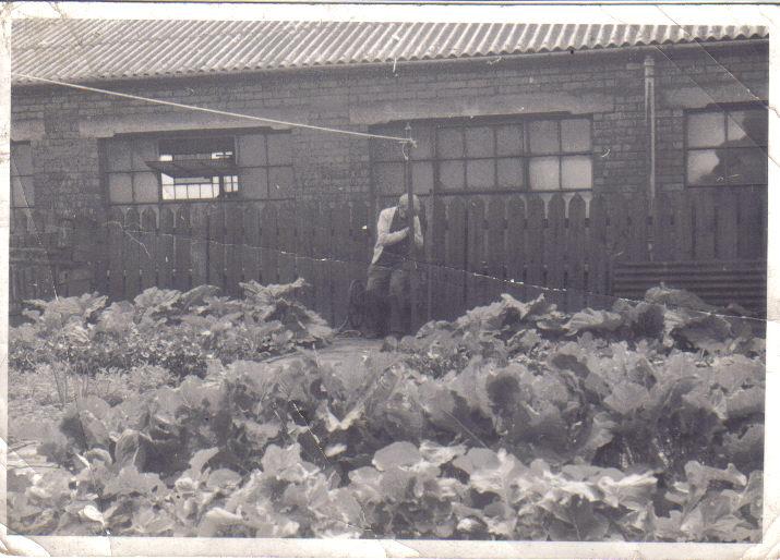 viewing the fruit of his labours