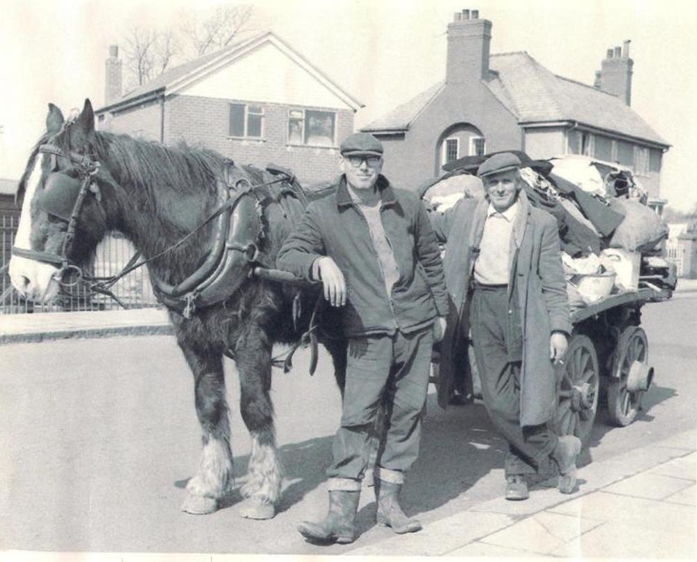 STEPTOE & SON STEPTOE & SON