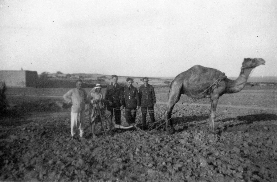 Arthur Tice in Egypt, 1942.