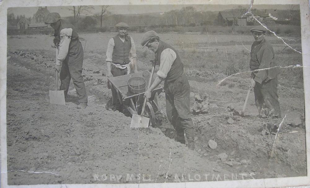 On Roby Mill Allotments early 1900s