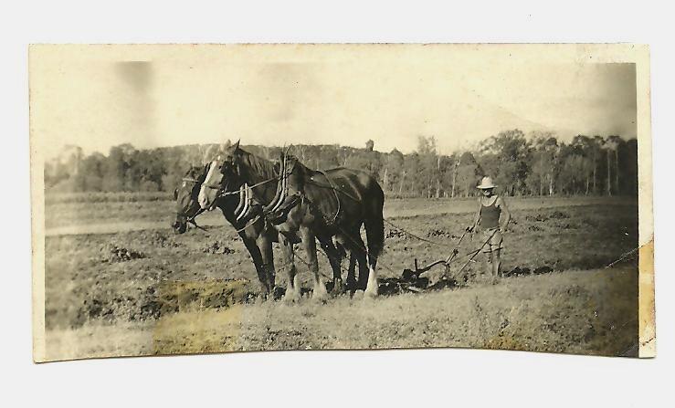 my grandfather from the Limes, Standish