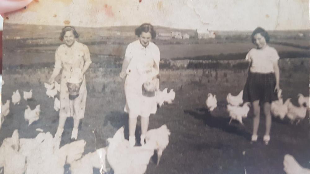 Girls feeding chickens