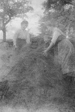 More haymaking at Gathurst