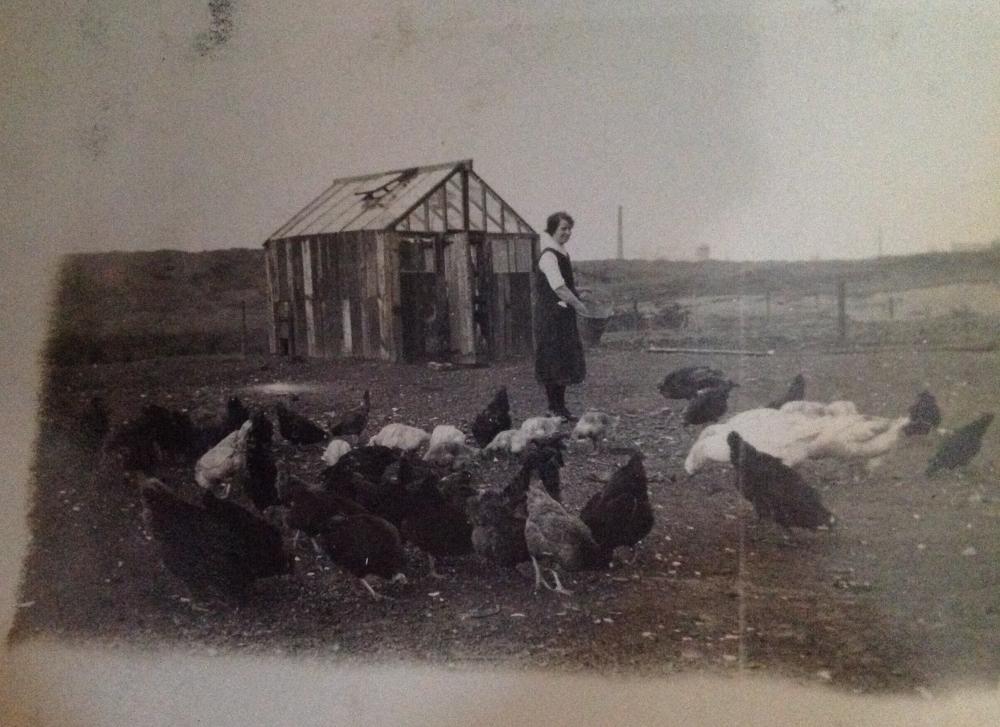 De Trafford farm Hindley. De Trafford farm Hindley.