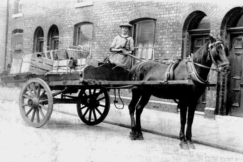 Mrs Sarah Jane Brimelow, local Fruitier, 1907.