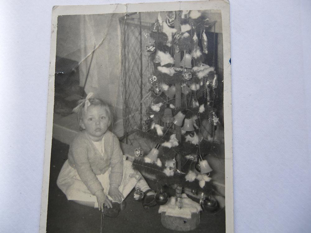all i want for christmas is A NEW CHRISTMAS TREE! all i want for christmas is A NEW CHRISTMAS TREE!
