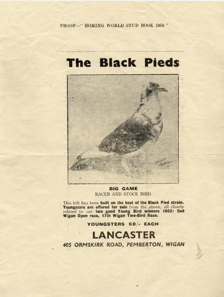 Racing Pigeon information leaflet Racing Pigeon information leaflet