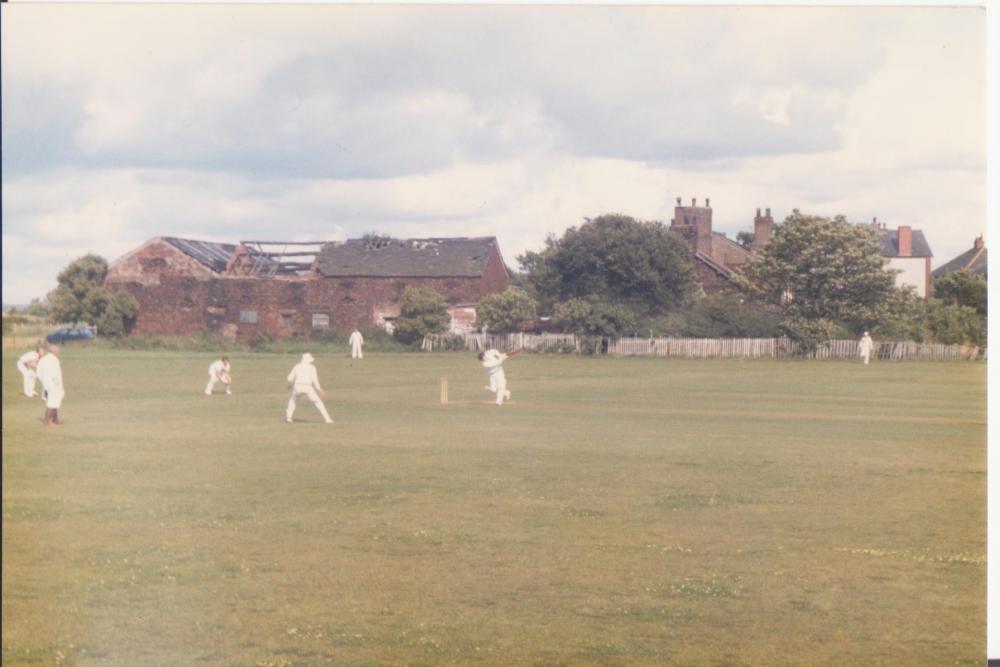 cricket cricket