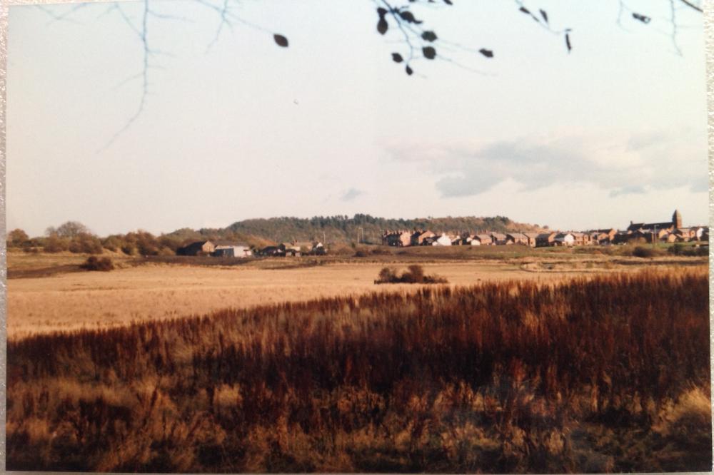 Alexandra opencast. Alexandra opencast.