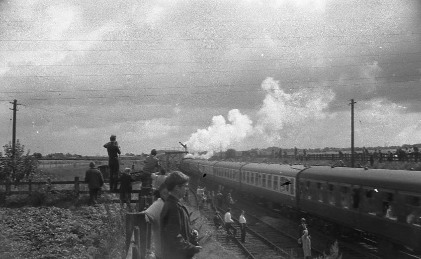 Last Steam ******* (4) Last Steam ******* (4)