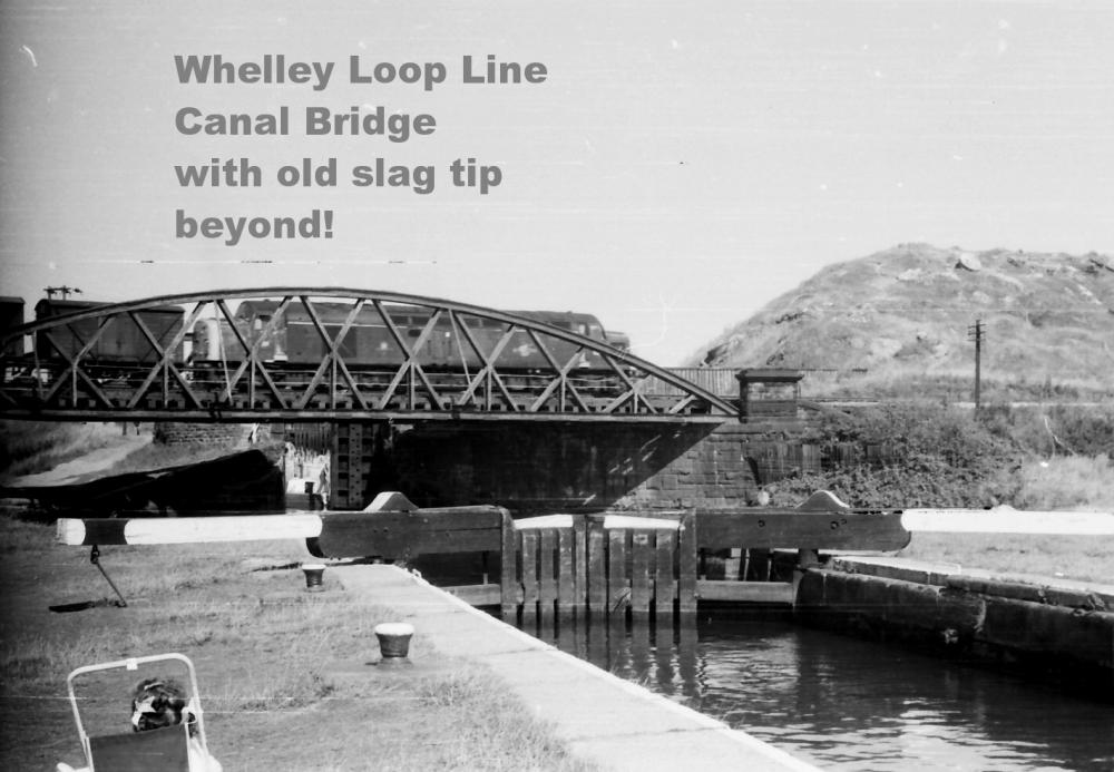 Whelley loop Line