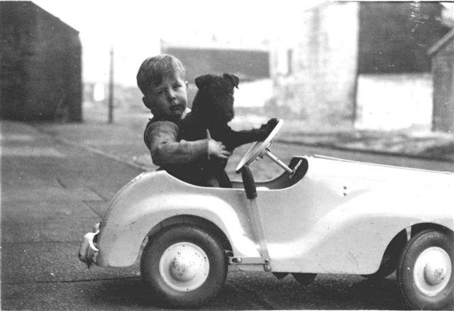 The dog couldn't really drive The dog couldn't really drive