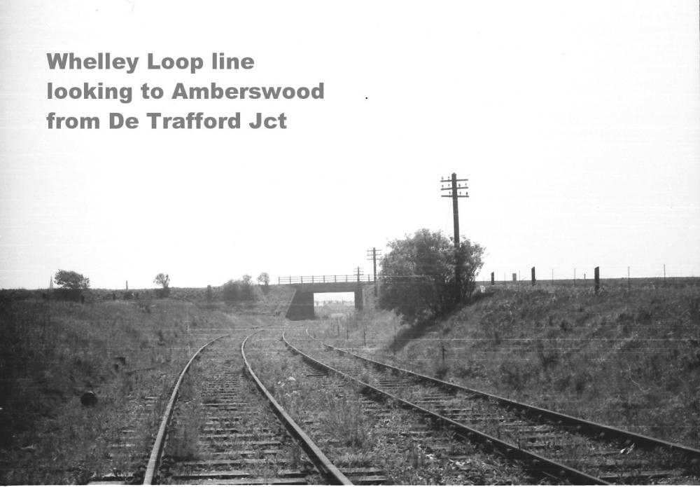 Whelley oop line Whelley oop line
