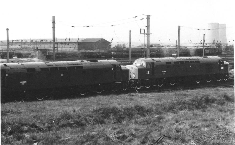 Royal Locos Royal Locos