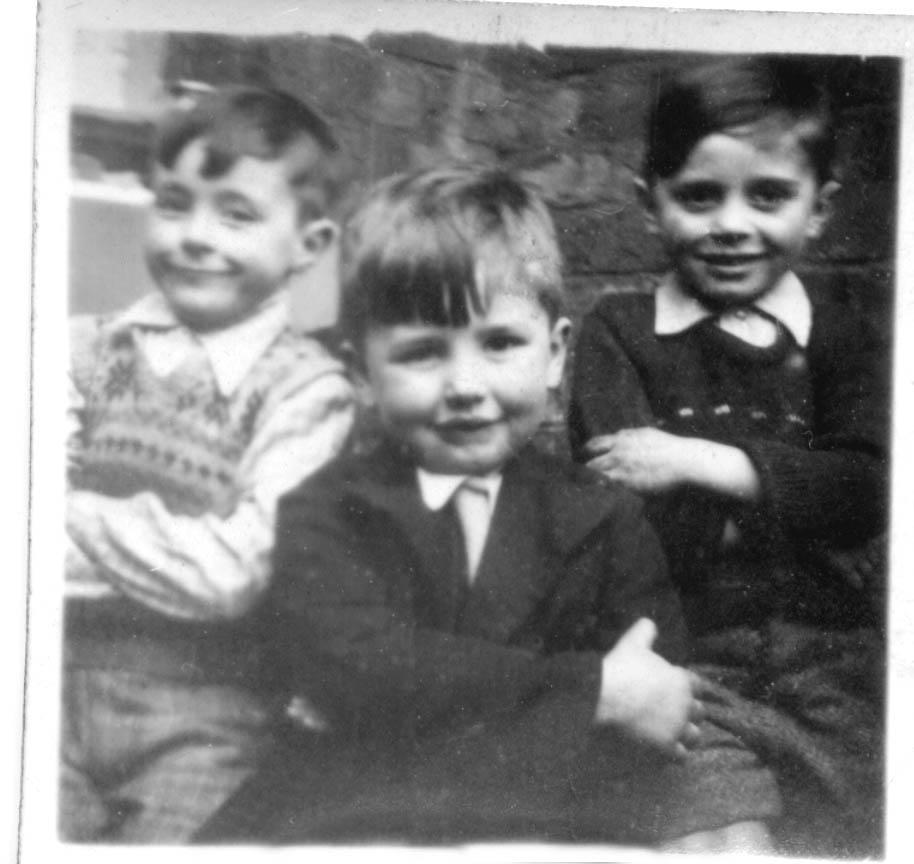 Cute aren't they? Cute aren't they?