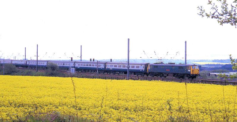 Train Train