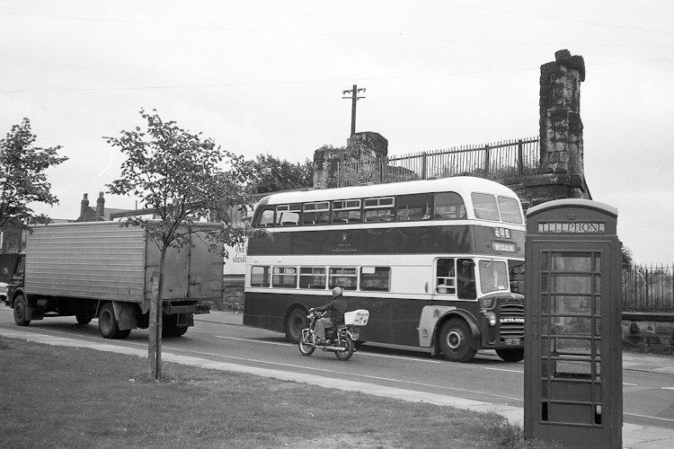 bus bus