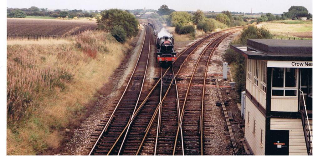 Steam Excursion