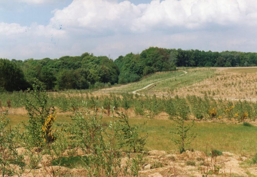 Alexandra Opencast Site Alexandra Opencast Site