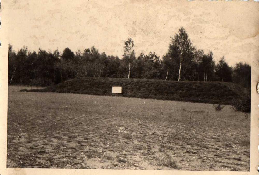 Belsen Belsen