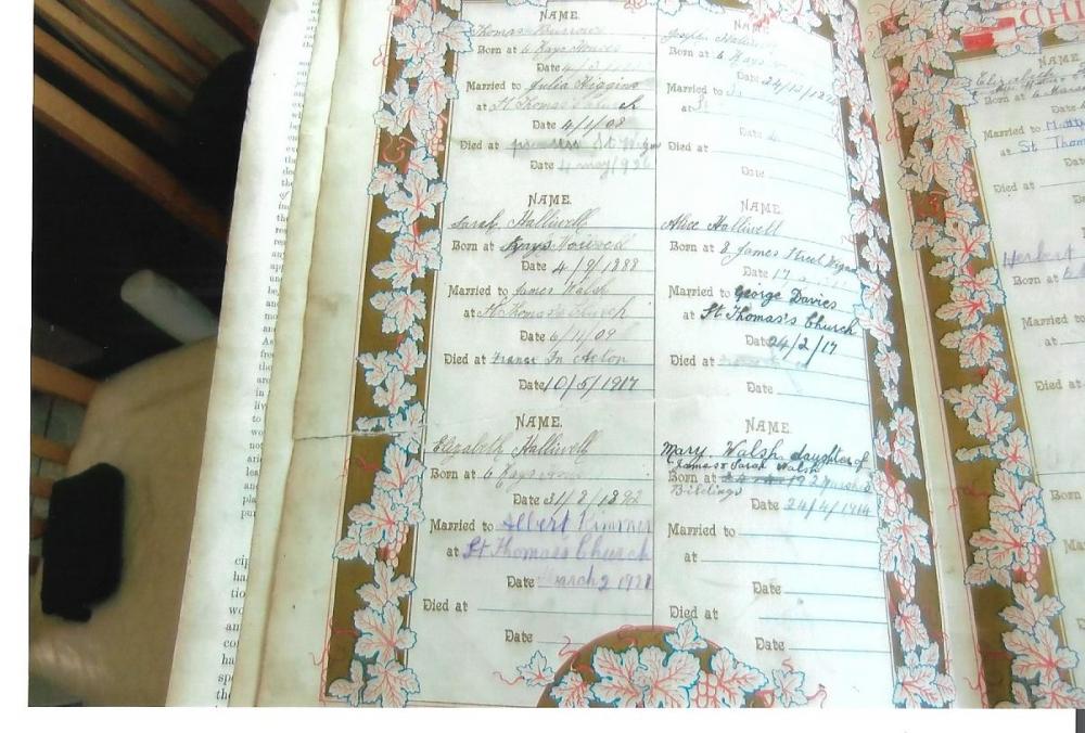 Entries in Bible Entries in Bible