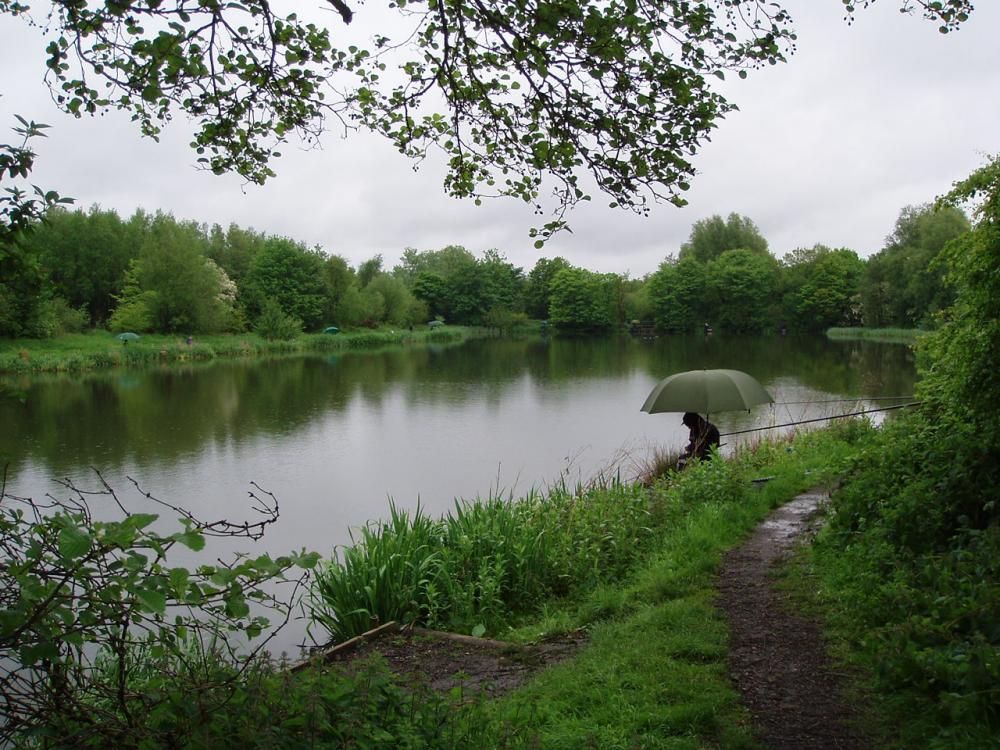 Fishing  at Landgate