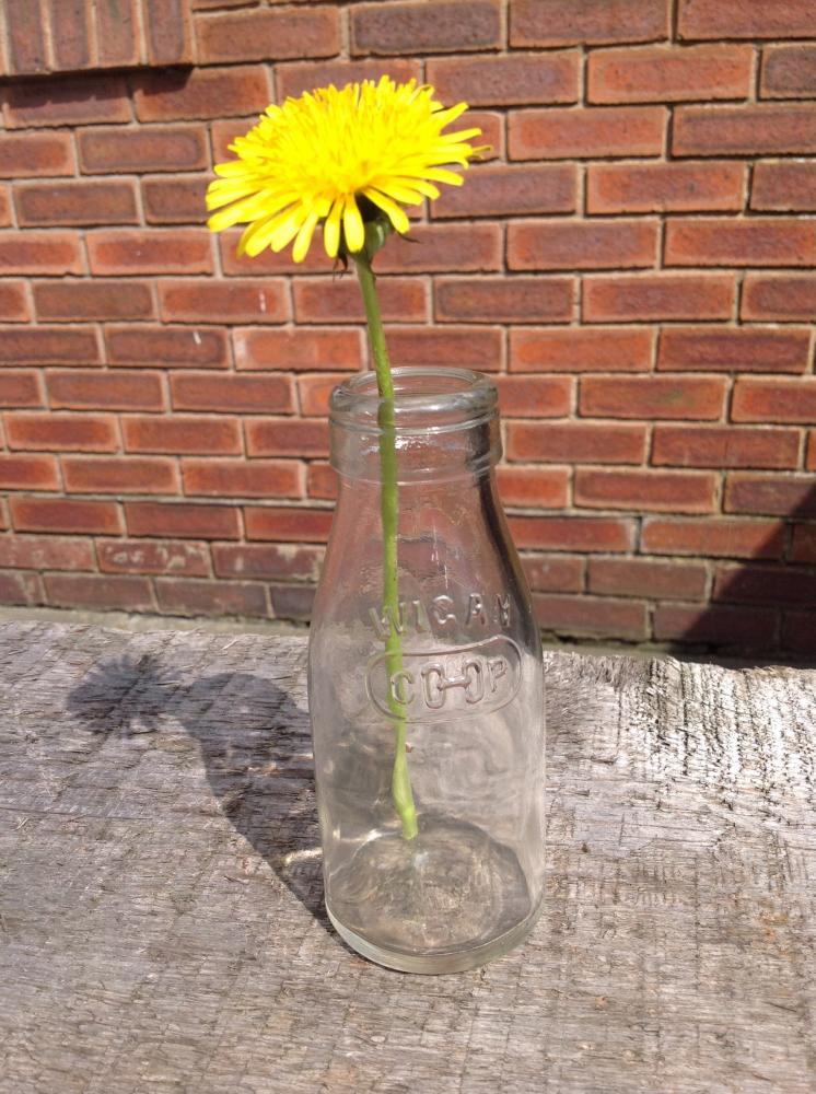 Old milk bottle. Old milk bottle.