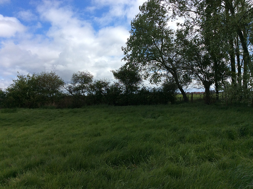 North-East corner of Ney Copse