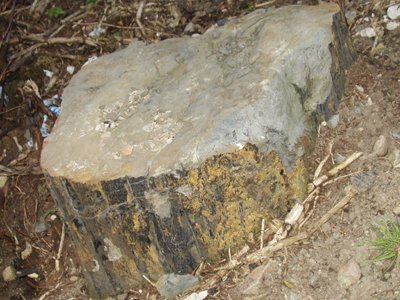 Red Rock in flood