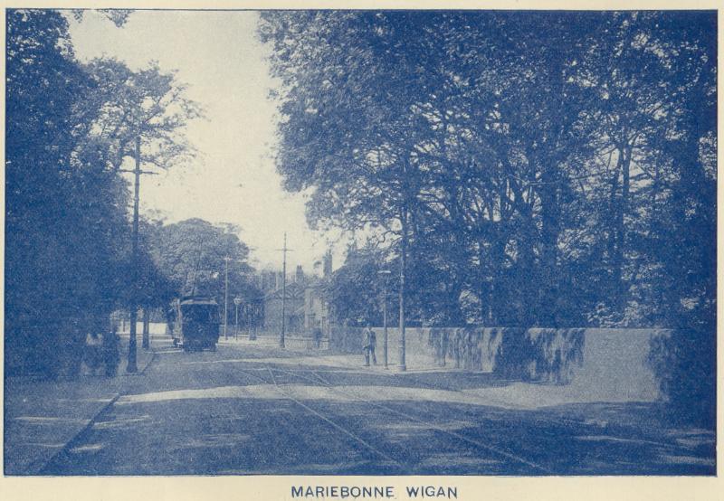 Mariebonne