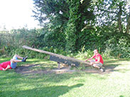 The see-saw challenge at At The Nevison Inn