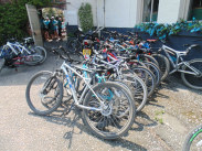 Bikes at the Hop Vine