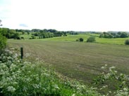 View from the canal between Appley Bridge and Gathurst