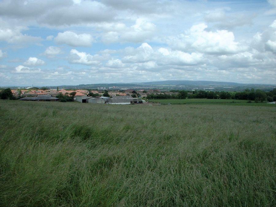 View from Wigan Road towards Winter Hill.