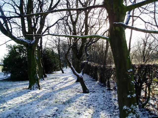 Leyland Park, Hindley