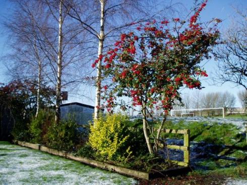 Leyland Park, Hindley Leyland Park, Hindley